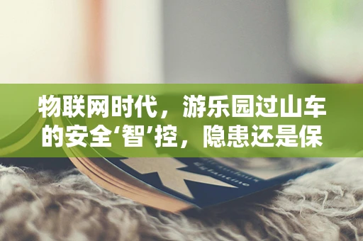 物联网时代，游乐园过山车的安全‘智’控，隐患还是保障？