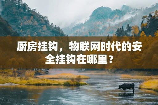 厨房挂钩，物联网时代的安全挂钩在哪里？