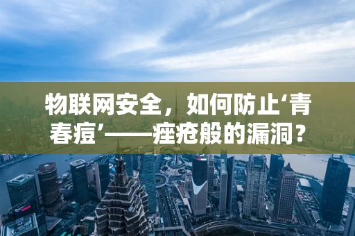 物联网安全，如何防止‘青春痘’——痤疮般的漏洞？