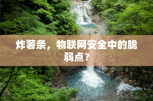 炸薯条，物联网安全中的脆弱点？
