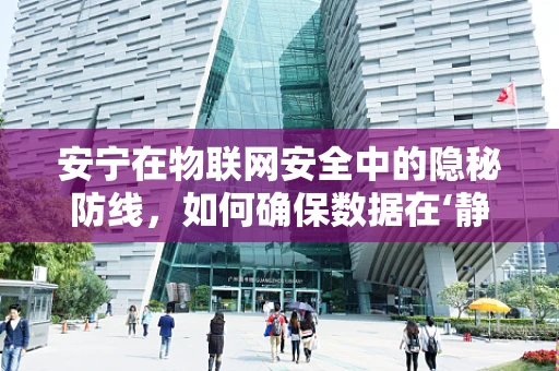 安宁在物联网安全中的隐秘防线，如何确保数据在‘静默’中安全无虞？