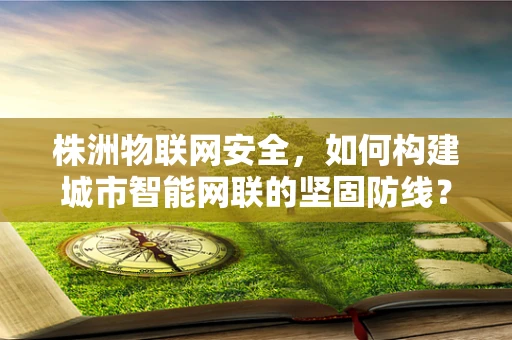 株洲物联网安全，如何构建城市智能网联的坚固防线？