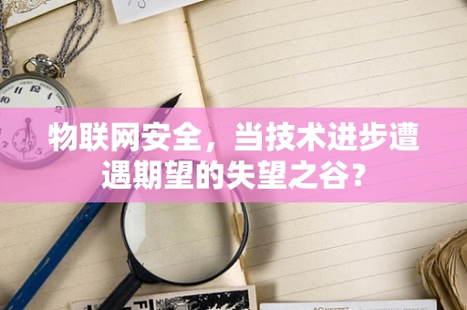 物联网安全，当技术进步遭遇期望的失望之谷？