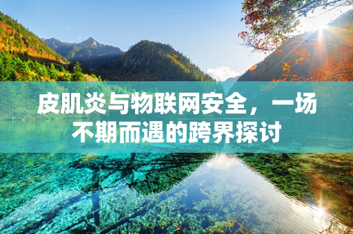皮肌炎与物联网安全，一场不期而遇的跨界探讨