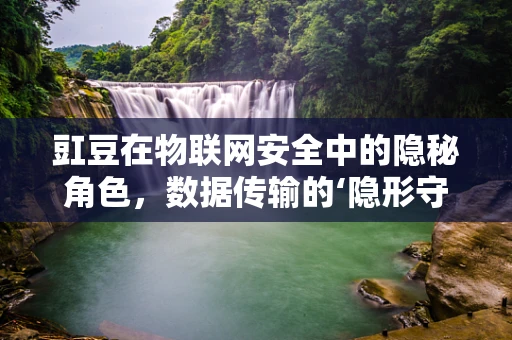 豇豆在物联网安全中的隐秘角色，数据传输的‘隐形守护者’？