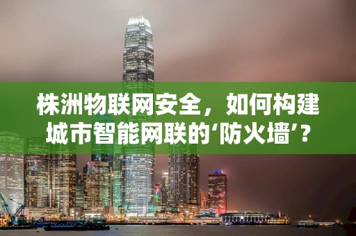 株洲物联网安全，如何构建城市智能网联的‘防火墙’？