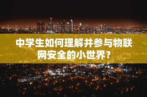中学生如何理解并参与物联网安全的小世界？