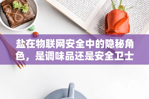 盐在物联网安全中的隐秘角色，是调味品还是安全卫士？