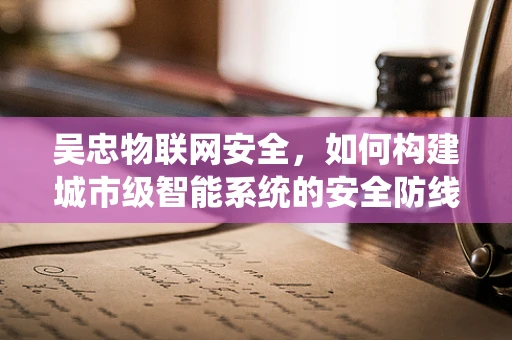 吴忠物联网安全，如何构建城市级智能系统的安全防线？