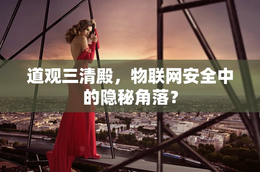 道观三清殿，物联网安全中的隐秘角落？
