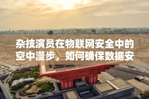 杂技演员在物联网安全中的空中漫步，如何确保数据安全无失手？