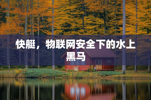 快艇，物联网安全下的水上黑马