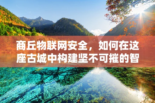 商丘物联网安全，如何在这座古城中构建坚不可摧的智能防线？
