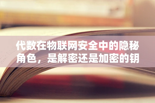 代数在物联网安全中的隐秘角色，是解密还是加密的钥匙？