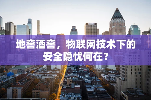 地窖酒窖，物联网技术下的安全隐忧何在？