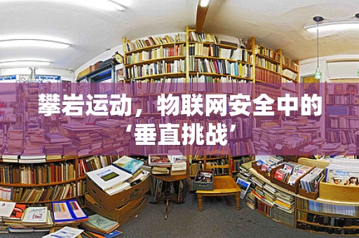 攀岩运动，物联网安全中的‘垂直挑战’