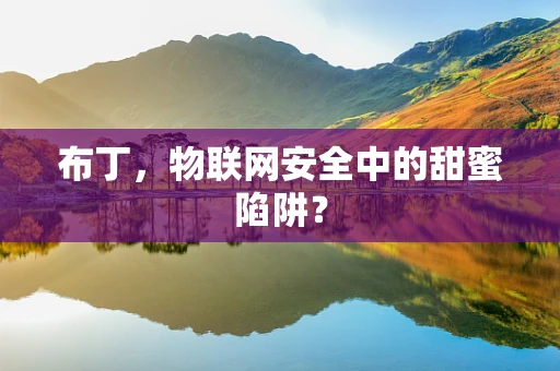 布丁，物联网安全中的甜蜜陷阱？