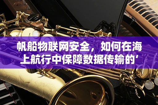 帆船物联网安全，如何在海上航行中保障数据传输的‘风平浪静？