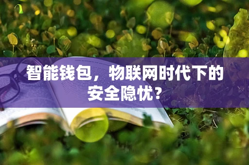 智能钱包，物联网时代下的安全隐忧？