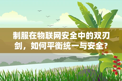 制服在物联网安全中的双刃剑，如何平衡统一与安全？