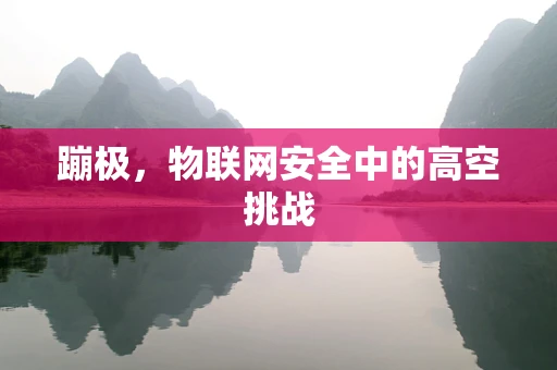 蹦极，物联网安全中的高空挑战