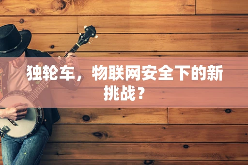 独轮车，物联网安全下的新挑战？