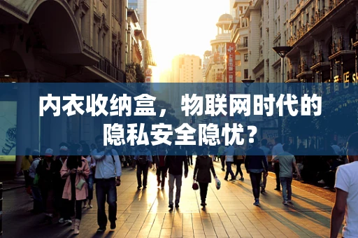 内衣收纳盒，物联网时代的隐私安全隐忧？