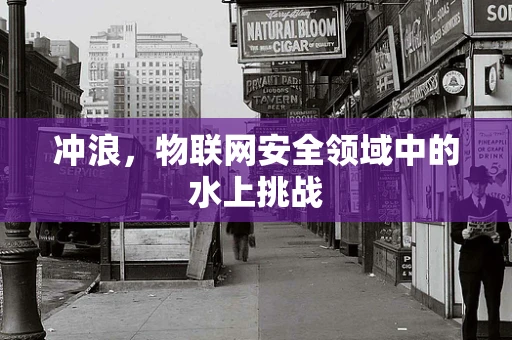 冲浪，物联网安全领域中的水上挑战