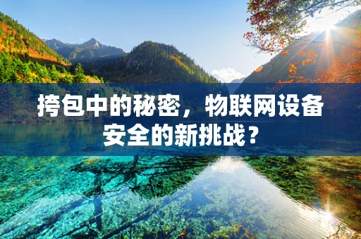 挎包中的秘密，物联网设备安全的新挑战？