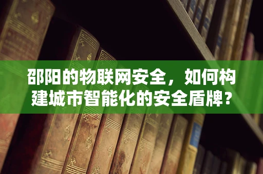 邵阳的物联网安全，如何构建城市智能化的安全盾牌？
