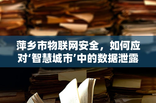 萍乡市物联网安全，如何应对‘智慧城市’中的数据泄露风险？