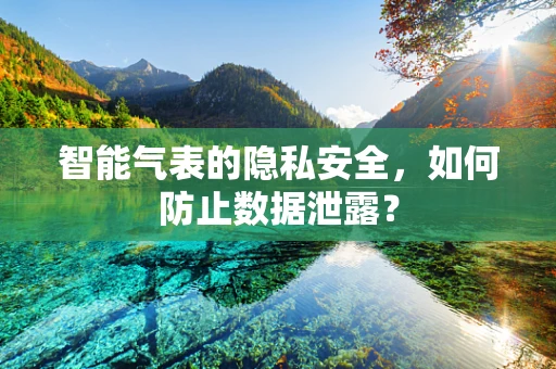智能气表的隐私安全，如何防止数据泄露？