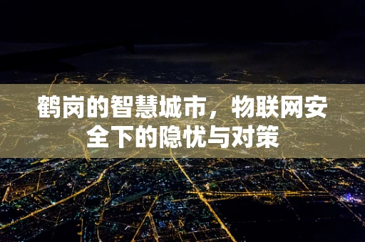 鹤岗的智慧城市，物联网安全下的隐忧与对策