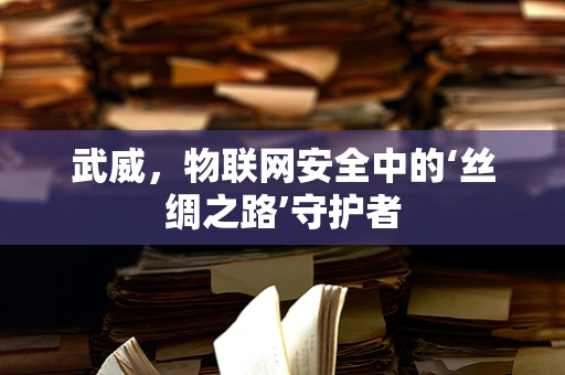 武威，物联网安全中的‘丝绸之路’守护者