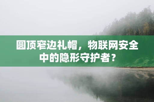 圆顶窄边礼帽，物联网安全中的隐形守护者？
