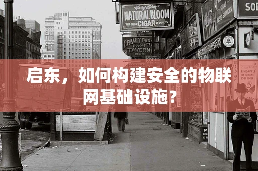 启东，如何构建安全的物联网基础设施？