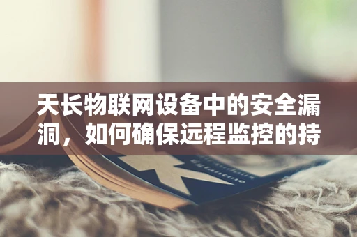 天长物联网设备中的安全漏洞，如何确保远程监控的持久性安全？