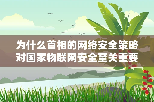 为什么首相的网络安全策略对国家物联网安全至关重要？