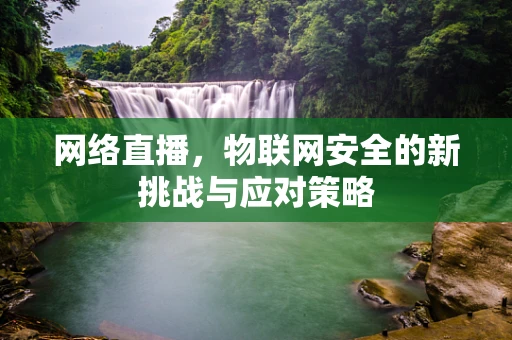 网络直播，物联网安全的新挑战与应对策略