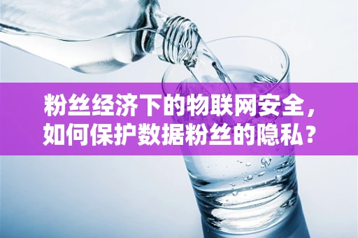 粉丝经济下的物联网安全，如何保护数据粉丝的隐私？