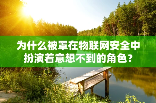 为什么被罩在物联网安全中扮演着意想不到的角色？