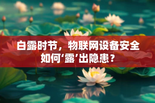 白露时节，物联网设备安全如何‘露’出隐患？
