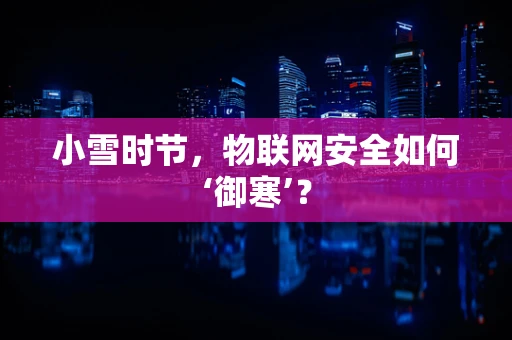 小雪时节，物联网安全如何‘御寒’？