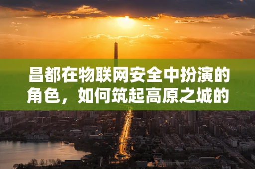 昌都在物联网安全中扮演的角色，如何筑起高原之城的数字防线？