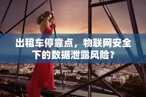 出租车停靠点，物联网安全下的数据泄露风险？