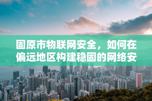 固原市物联网安全，如何在偏远地区构建稳固的网络安全防线？
