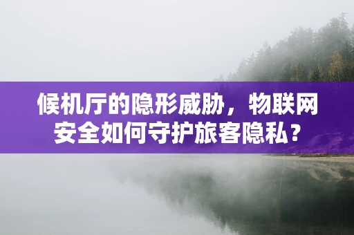 候机厅的隐形威胁，物联网安全如何守护旅客隐私？