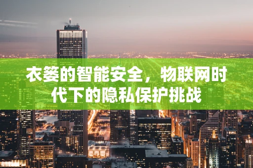 衣篓的智能安全，物联网时代下的隐私保护挑战