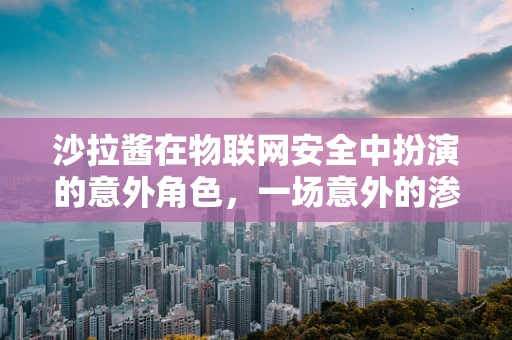 沙拉酱在物联网安全中扮演的意外角色，一场意外的渗透之旅？