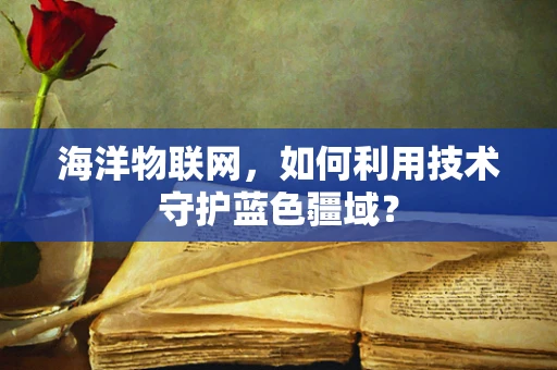 海洋物联网，如何利用技术守护蓝色疆域？